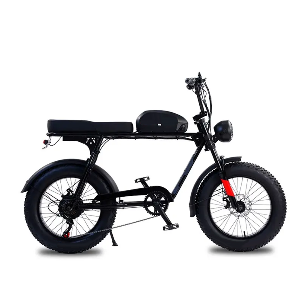 New arrival super 1000w 48V 73 lithium battery Hydraulic Disc Brake retro fat tire ebike electric mountain bike