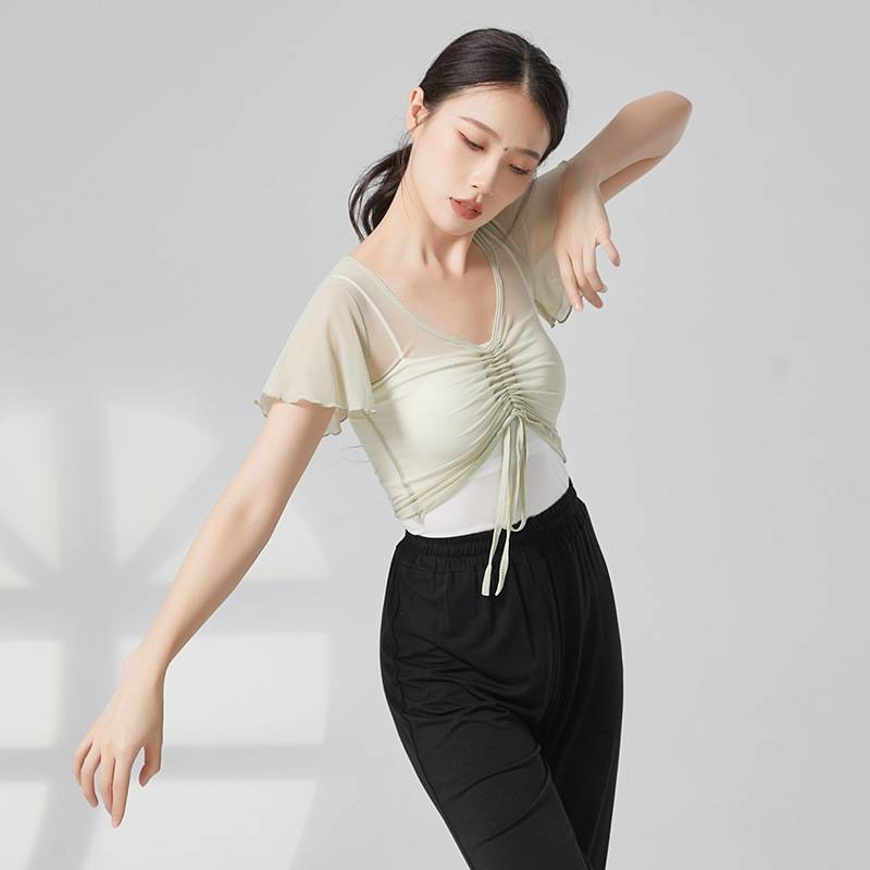 Dance service top female ballet training short -sleeved adult clothes net gauze dress classical dance outer square dance
