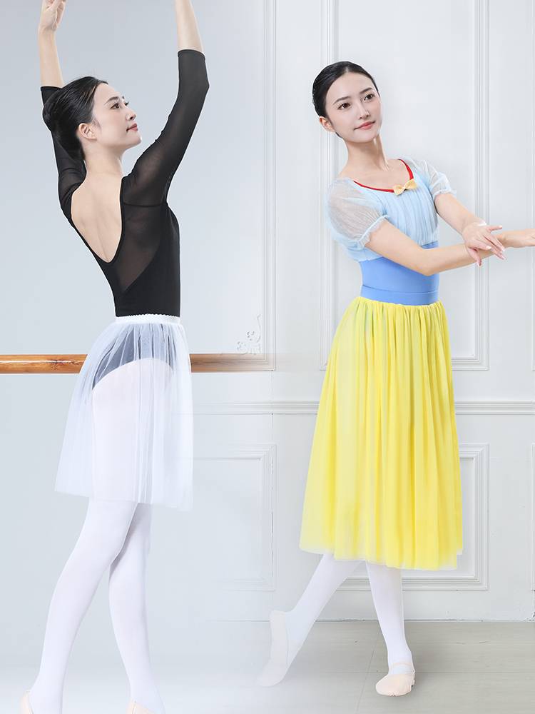 Dance Half -body skirt adult female Chinese dance exercise gymnastics dress gymnastic gymnastics ballet teacher modern dance classical dance