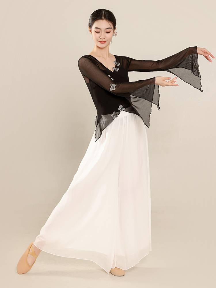 Classical dance clothing butterfly net gauze body rhyme yae Chinese national dance exercise skills test jacket performance suit suit