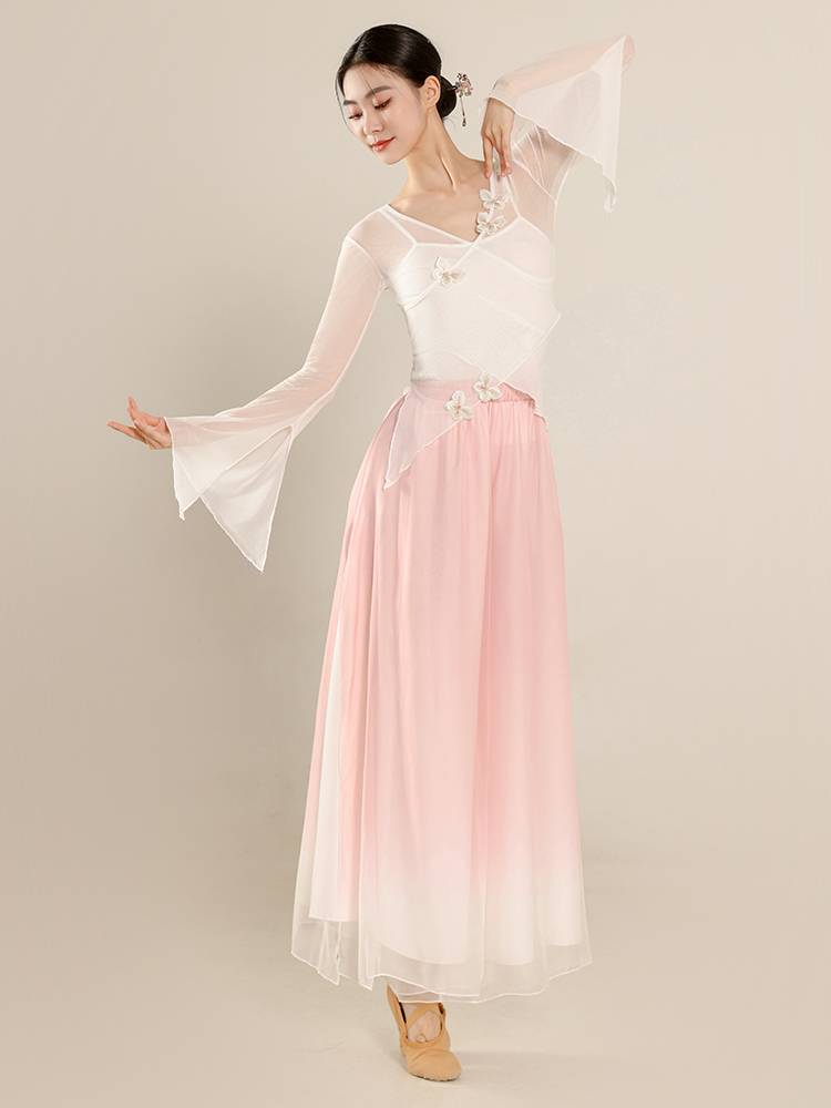 Classical dance clothing butterfly net gauze body rhyme yae Chinese national dance exercise skills test jacket performance suit suit