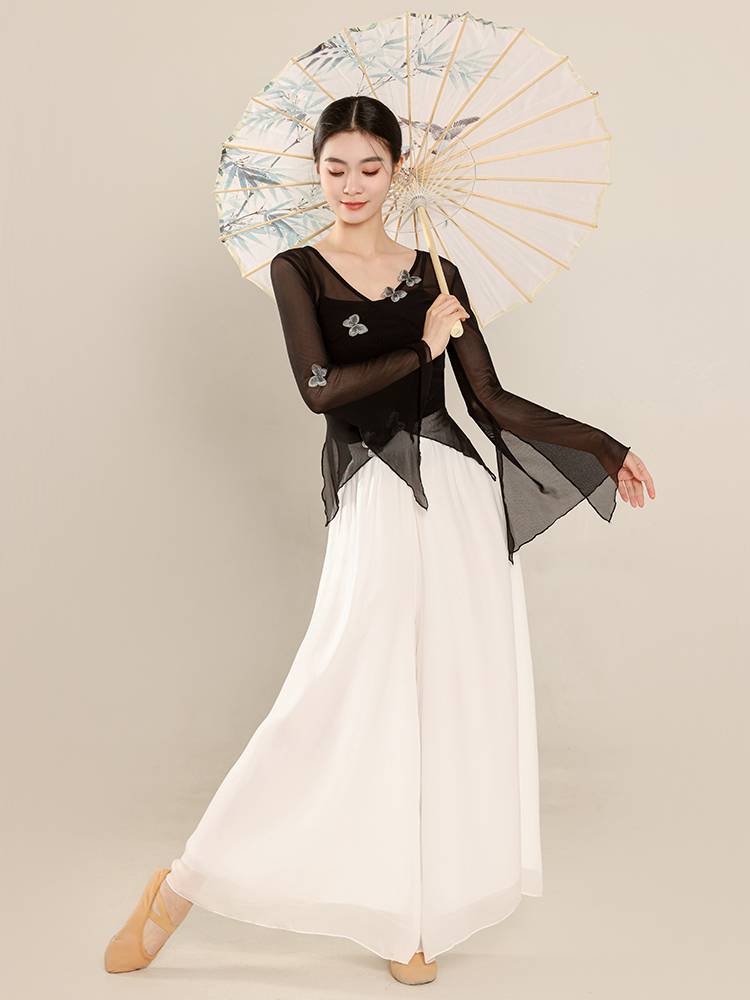 Classical dance clothing butterfly net gauze body rhyme yae Chinese national dance exercise skills test jacket performance suit suit