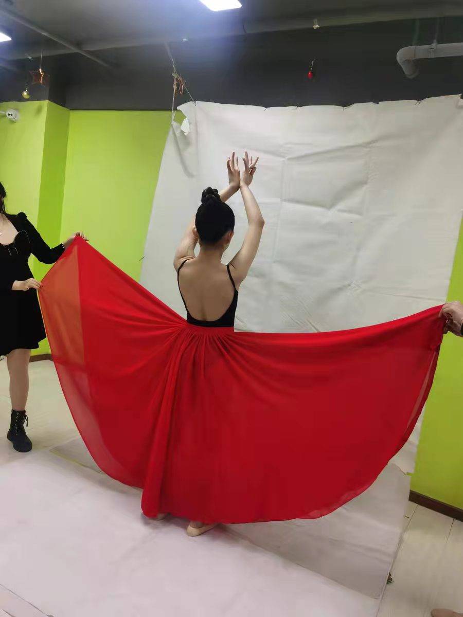 Classical dance clothing female elegant Xinjiang dance performance service clothes half -body long skirt, modern ballet training dress skirt