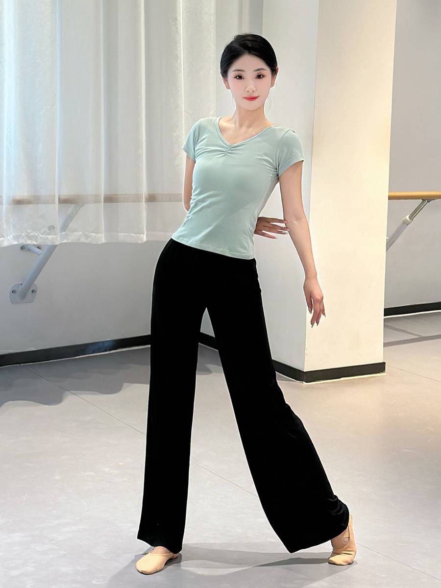 Dance service top adult female Chinese dance exercise ballet classical dance V -neck short -sleeved body clothes summer
