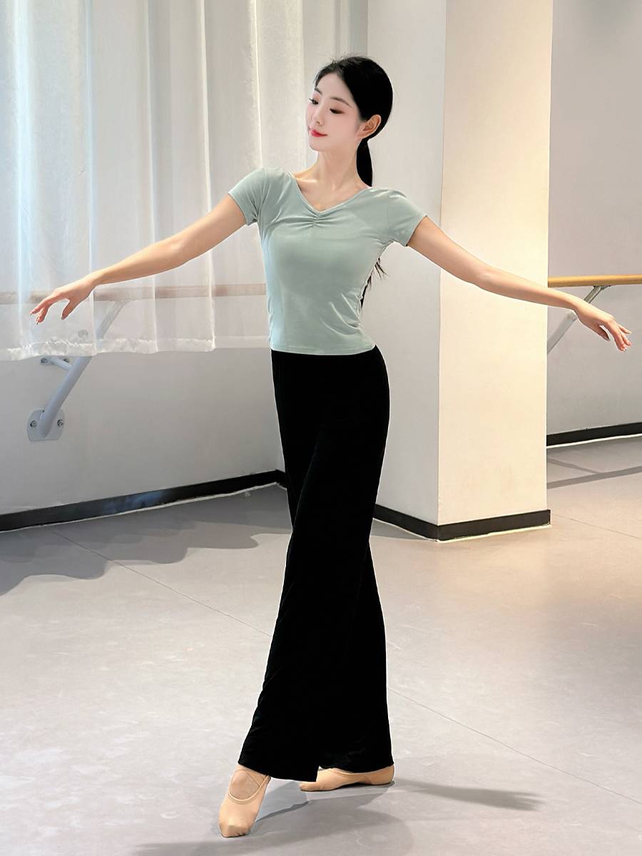 Dance service top adult female Chinese dance exercise ballet classical dance V -neck short -sleeved body clothes summer