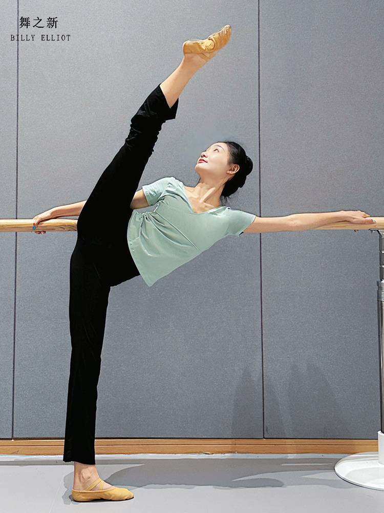 Classical Dance Summer Summer Training Female Modern Dance Services Female Short -sleeved Ballet Practice Master