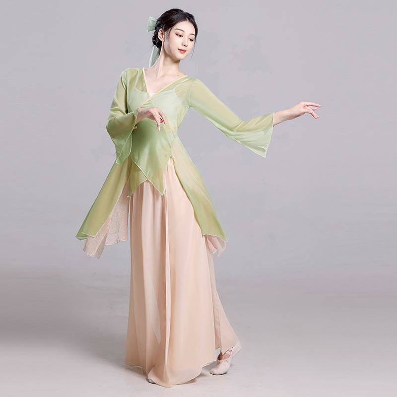 Classical dance clothing female elegant gauze Chinese dance exercise, female bodies, rhyme chiffon tops perform ancient style