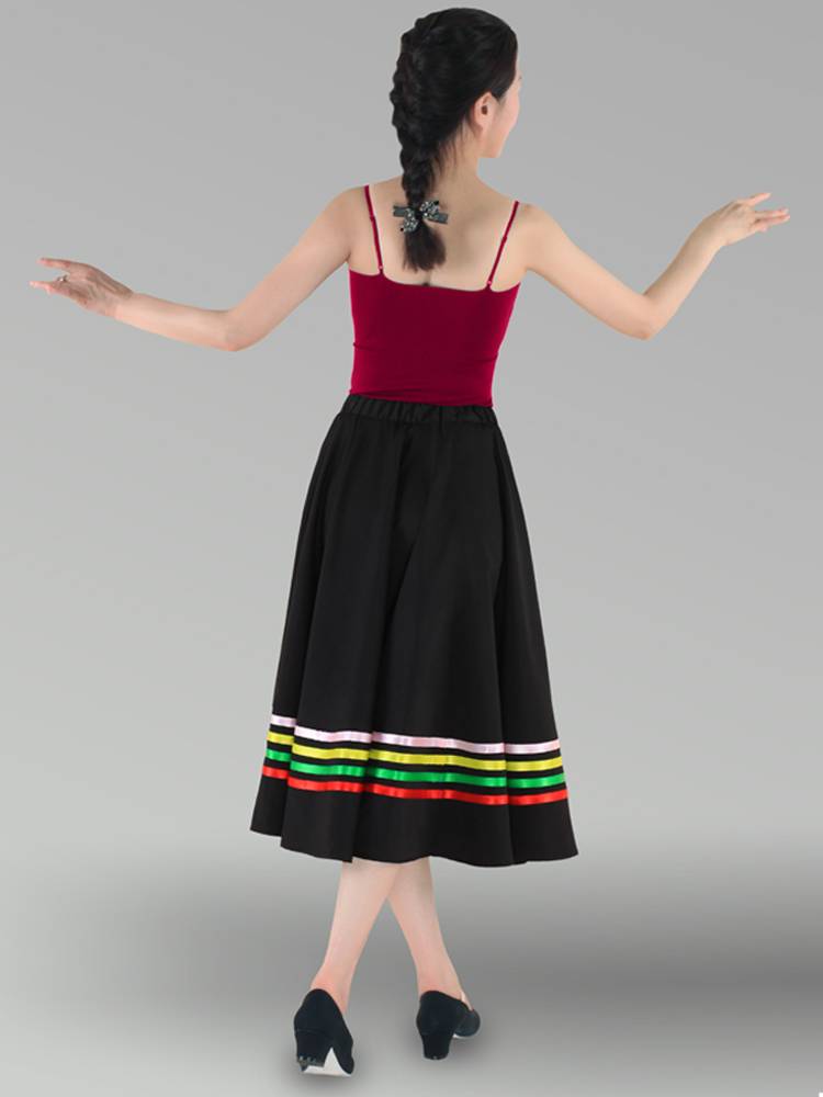 Adult Children's Personal Dance Skirt Girl Dance Testing Practice Skirt Skirt Skinid Skirts Art Test Tufeng Skirt