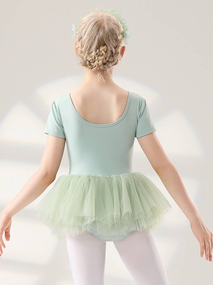 4090 children's dance service girl 2024 new short -sleeved body practice gymnastics ballet dance performance puff skirt