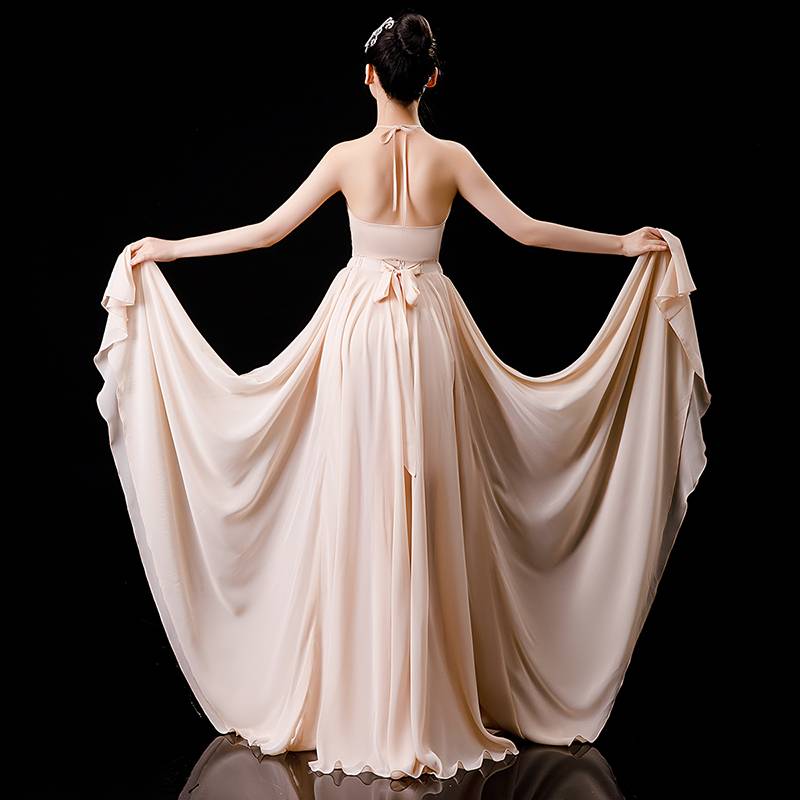 Classical Dance Performance Dance Gine Women 720 degrees big skirt dance clothes elegant ballet modern dance exercise costume clothing