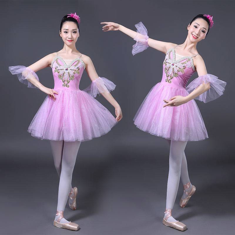 Ballet dance skirt adult girl ballet exercise dance dance dance dance skirt Little swan performance service new puff skirt
