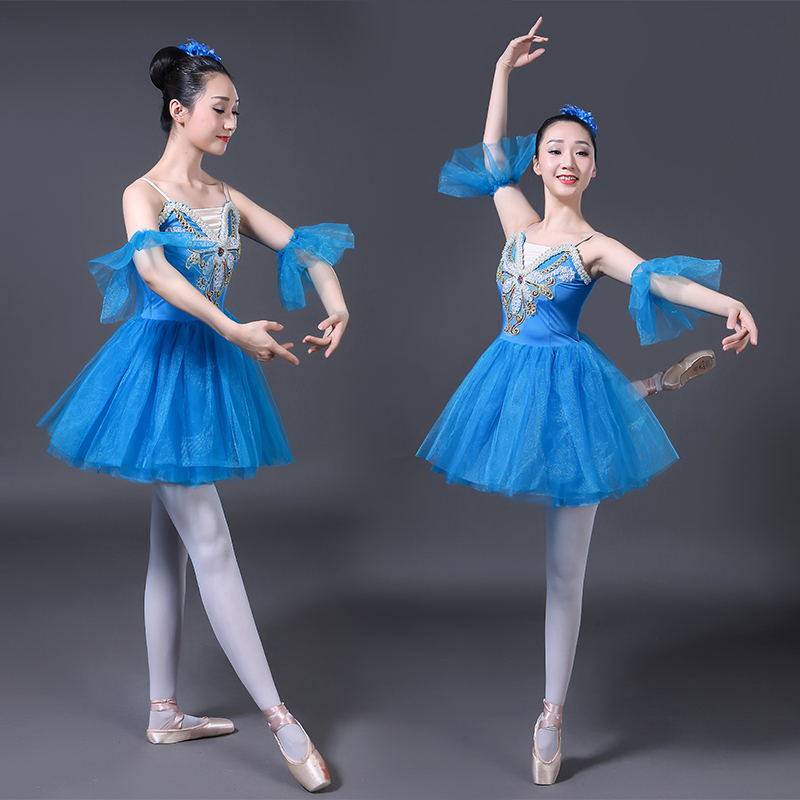 Ballet dance skirt adult girl ballet exercise dance dance dance dance skirt Little swan performance service new puff skirt