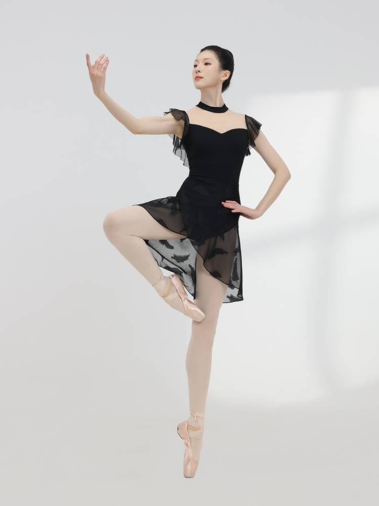 Fuyu ballet dance exercises, feather pattern of feather patterns, skirts, female adult irregular gauze skirts, one -piece skirt