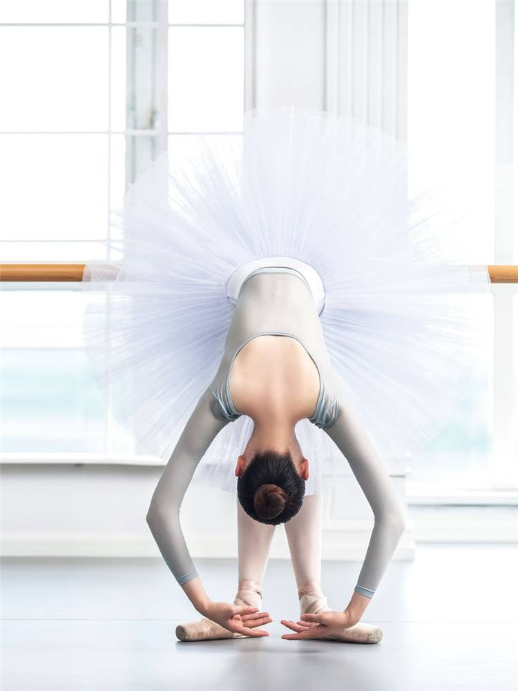 Little Jasmine Nets Sleeve Gymnastics Server Adult Female Dance Services Ballet Disciples Conjunction Faculty Faculty Form Switzer Clothing