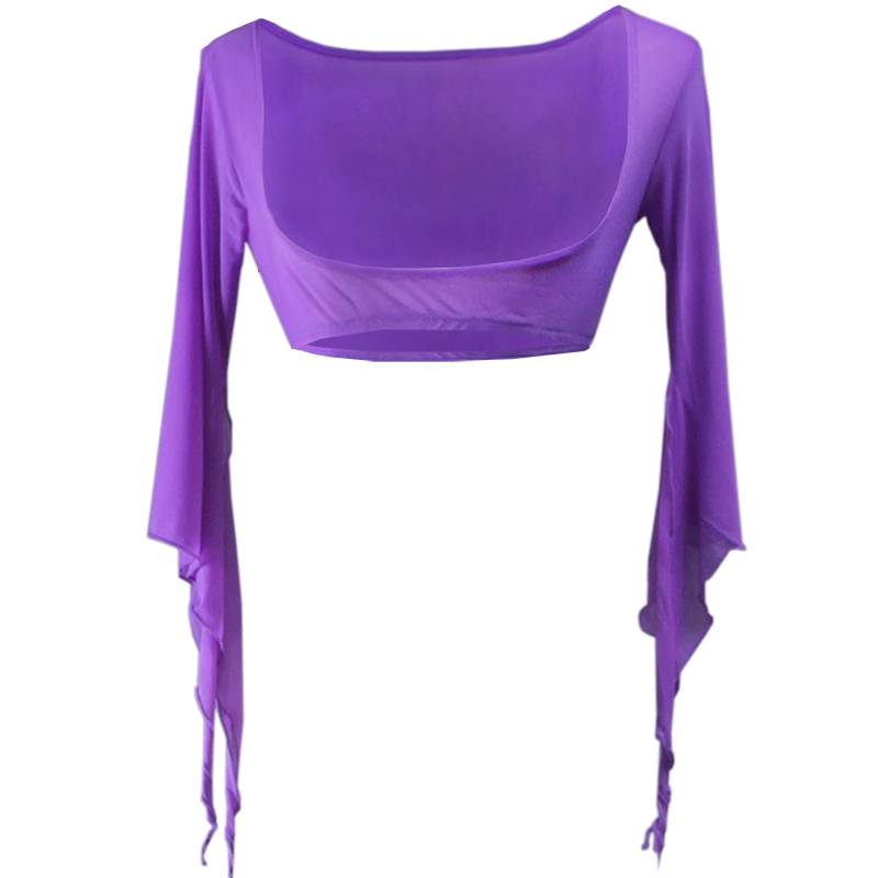 Belly dance clothing performance service autumn and winter long -sleeved square dance shawl performance clothes net gauze top text chest chest support