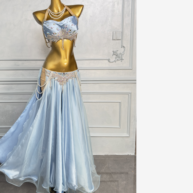Dance posture belly dance 2024 new performance clothes Oriental dance performance practice clothing female long skirt set QC3295