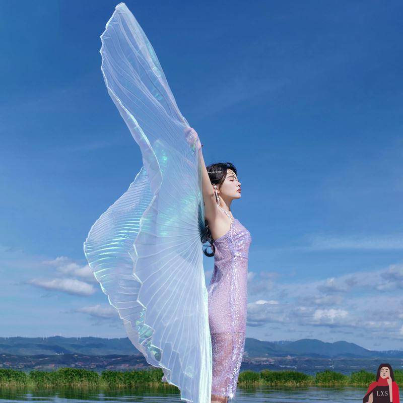 Adult belly dance gold -wing transparent fantasy gauze dance butterfly wings clothing photo shooting specifically