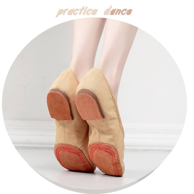 Dance teacher Shoe Metropolitan Latin Soft -bottom Female Belly Classical Modern Dance Practice Ballet Dance Shoes