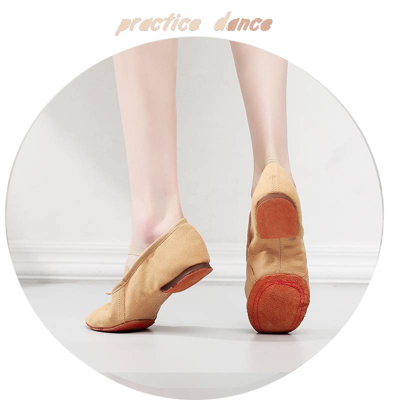 Dance teacher Shoe Metropolitan Latin Soft -bottom Female Belly Classical Modern Dance Practice Ballet Dance Shoes