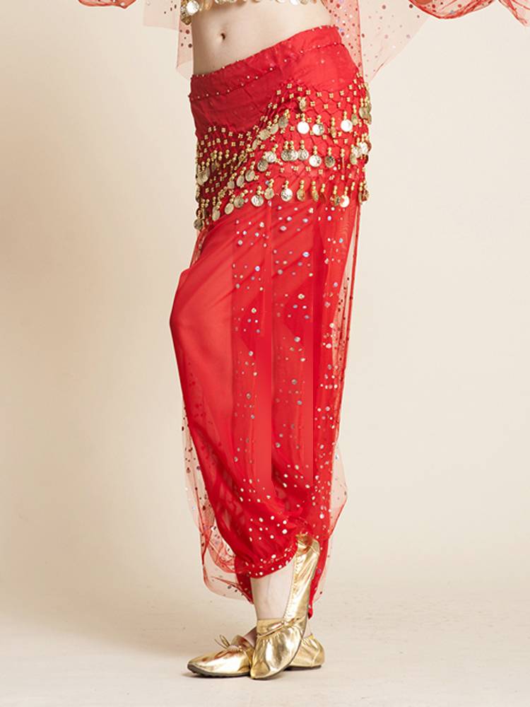 Indian dance pants belly dance lantern trousers pants shiny pants dance pants loose dance pants performance pants
