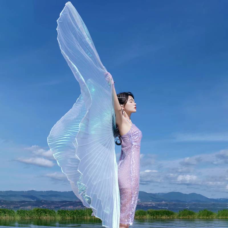 Douyin, the same adult belly dance, gold -wing transparent fantasy colorful gauze, butterfly wings, photo shooting props