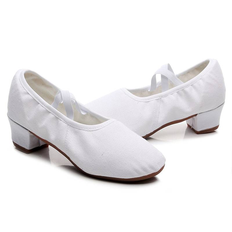 Dance Shoes Female Soft Bottom Practice Shoes Adult Teacher Shoe Shoe Special Outdoor Ballet Classical Dance Belly Dance Shoes
