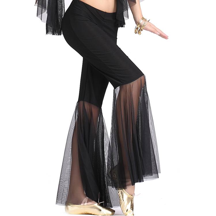 Belly dance pants mesh trousers Indian dance exercise pants Oriental dance watch show undergo practice pants flared pants female