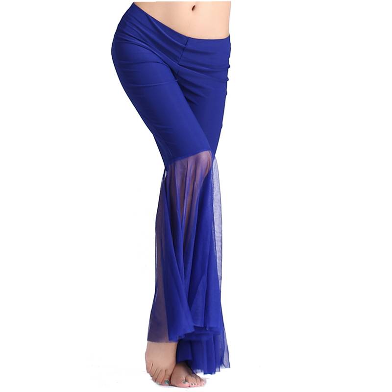 Belly dance pants mesh trousers Indian dance exercise pants Oriental dance watch show undergo practice pants flared pants female
