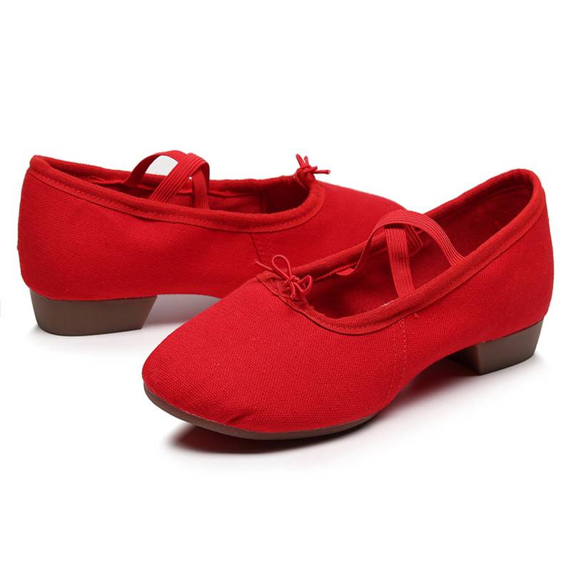 Dance Shoes Female Soft Bottom Practice Shoes Adult Teacher Shoe Shoe Special Outdoor Ballet Classical Dance Belly Dance Shoes