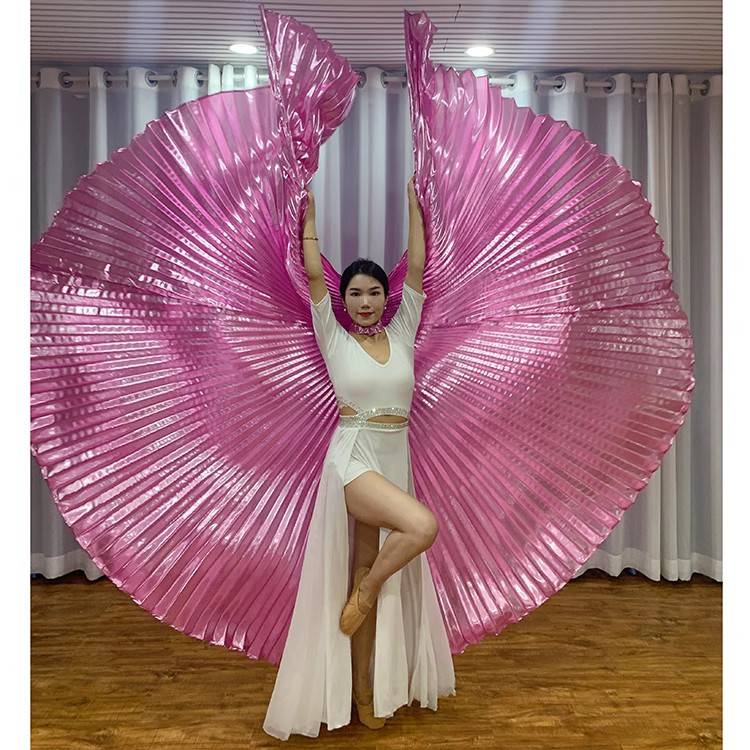 Adult belly dance gold -winged wings dance gold clothes performance suit