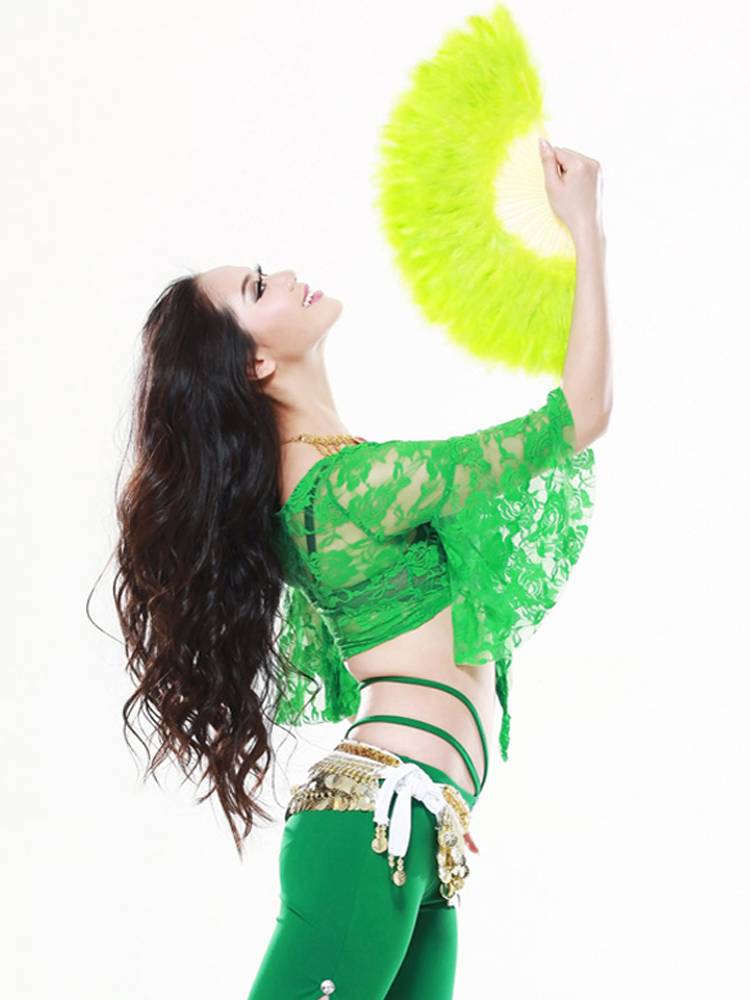 Elegant lace butterfly sleeve belly dance female beginner, an Oriental dance exercise, adult dance top