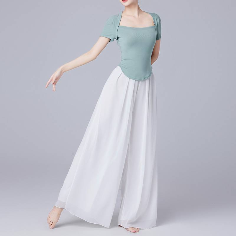 Belly Dance Classical Dance Practice Female Permanent Leg Pants Chinese Dance Ethnic Clothing Adult Modern Dance Sports Clothing