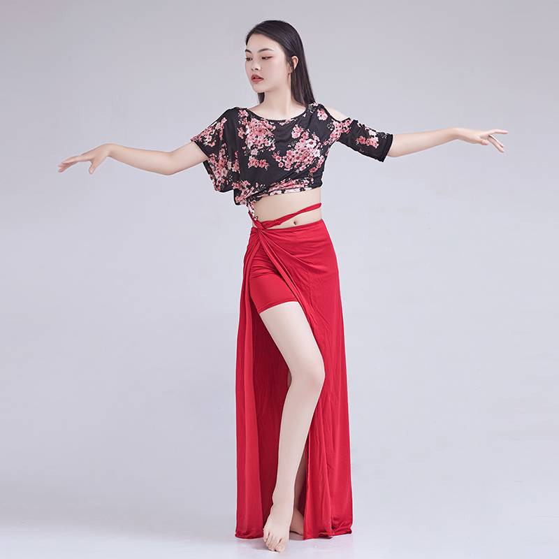 2024 new summer belly dance exercises, mesh sexy large size, thin oriental dance exercise performance skirt