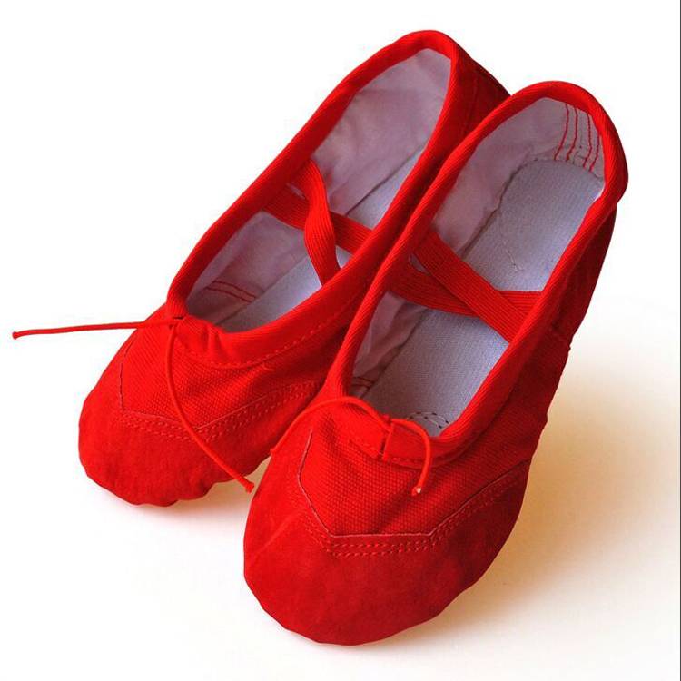 Belly dance shoes Soft sole Practice Shoes Female Adult Ballet Shoes Cat Claw Shoes Test Dance Dance Shoe Shape Yoga Shoes