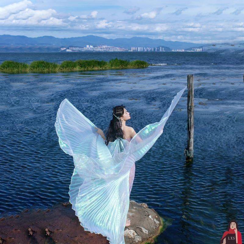 Adult belly dance gold -wing transparent fantasy gauze dance butterfly wings clothing photo shooting specifically