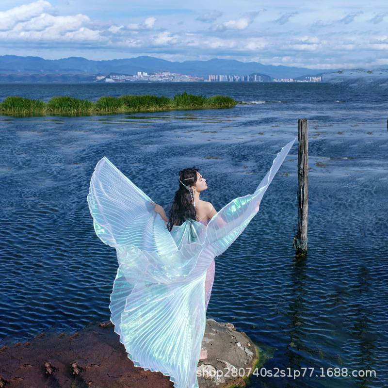 Adult belly dance wings dance butterfly gold wing color shooting props children Indian dance performance 360 degrees cloak