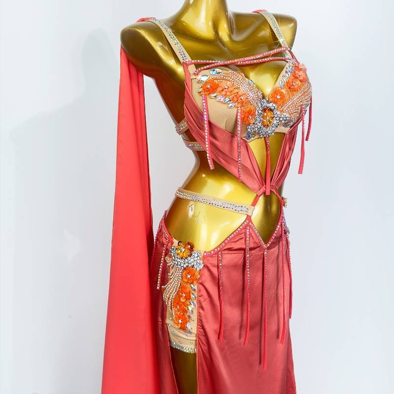 Dance posture belly dance table performance clothing female 2024 new diamond chest long skirt Oriental dance set wzy062