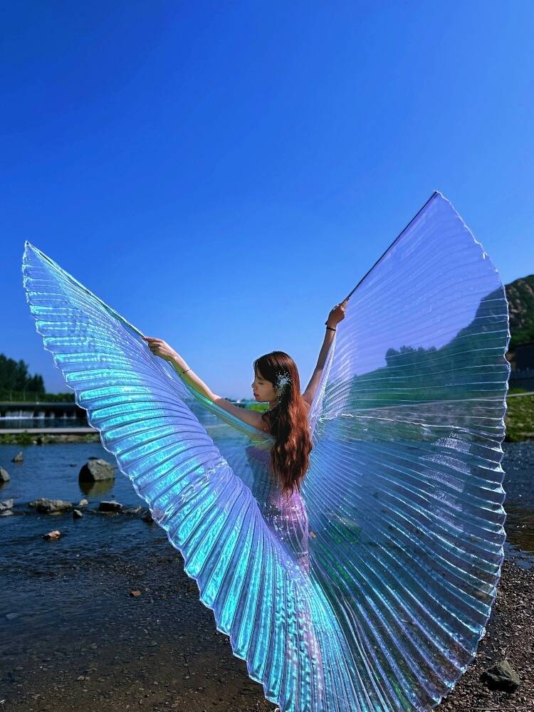 Douyin, the same adult belly dance, gold -wing transparent fantasy colorful gauze, butterfly wings, photo shooting props
