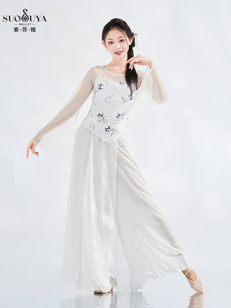 Susua classical dance gauze performance clothing fairy, elegant net gauze female Chinese dance ancient style dance service performance service