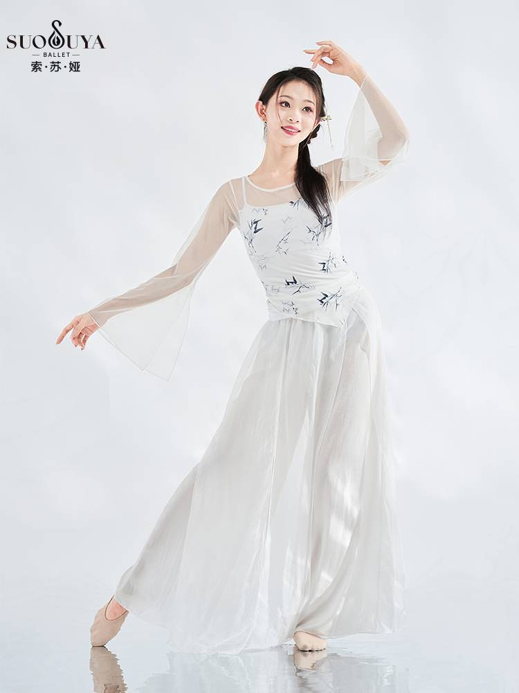 Susua classical dance gauze performance clothing fairy, elegant net gauze female Chinese dance ancient style dance service performance service