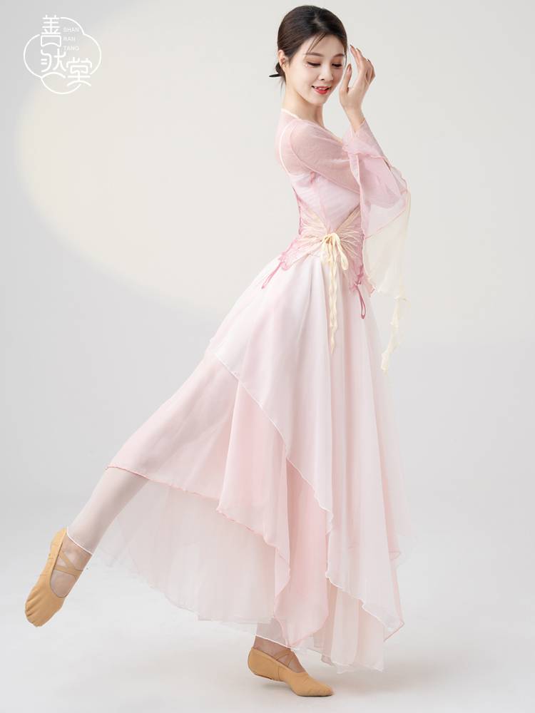 Shan Rantang butterfly gauze classical dance clothing performance clothing elegant female chiffon practice clothes Chinese ancient style top