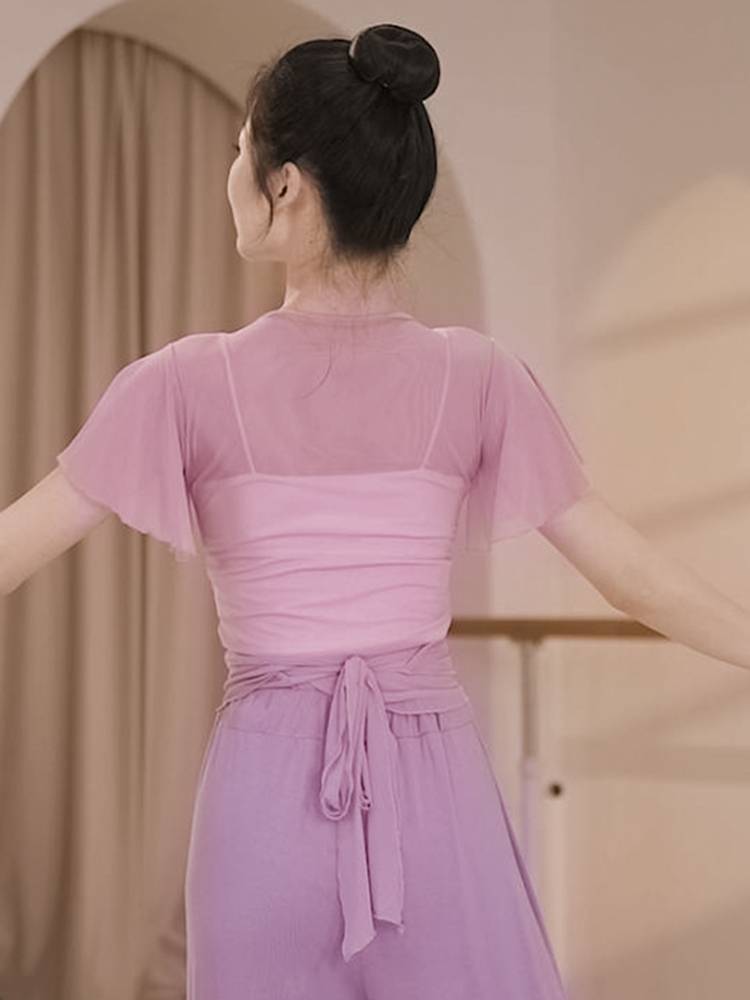 3255 Dance clothing female gauze 2024 summer new practice short -sleeved mesh Chinese classical dancing adult top