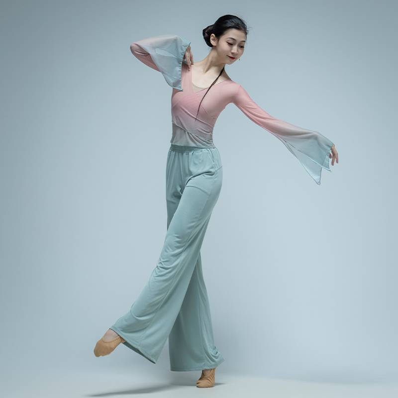 Classical dance body rhyme gauze thin long -sleeved practice service modern dance watch acting student art test dance service class girl