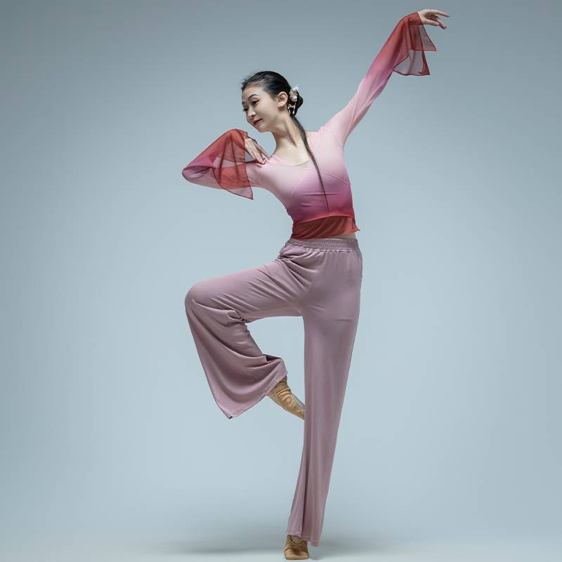 Classical dance body rhyme gauze thin long -sleeved practice service modern dance watch acting student art test dance service class girl