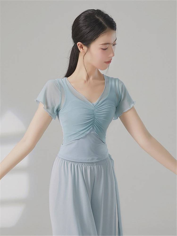 2024 new Xiaofei Sleeve Chinese Dance Classical Dance Clothing Practice Clothing Gauze Straight Female Summer Short Sleeve