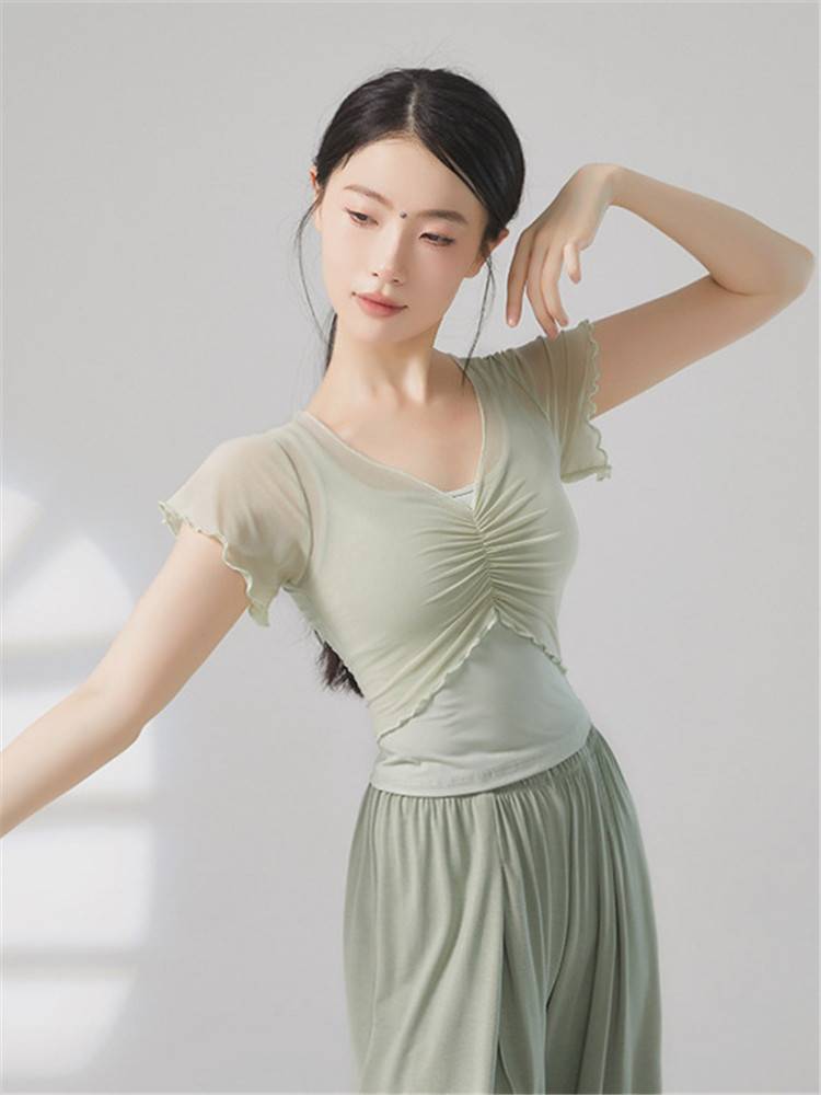 2024 new Xiaofei Sleeve Chinese Dance Classical Dance Clothing Practice Clothing Gauze Straight Female Summer Short Sleeve