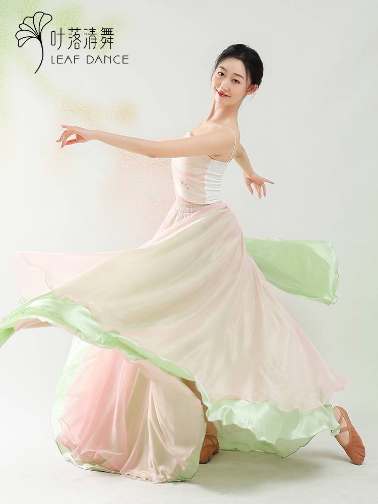 Ye Luo Qing dance classical dance double -layer contrasting skirt dance dance dance female Chinese dance elegant fairy performance service long skirt