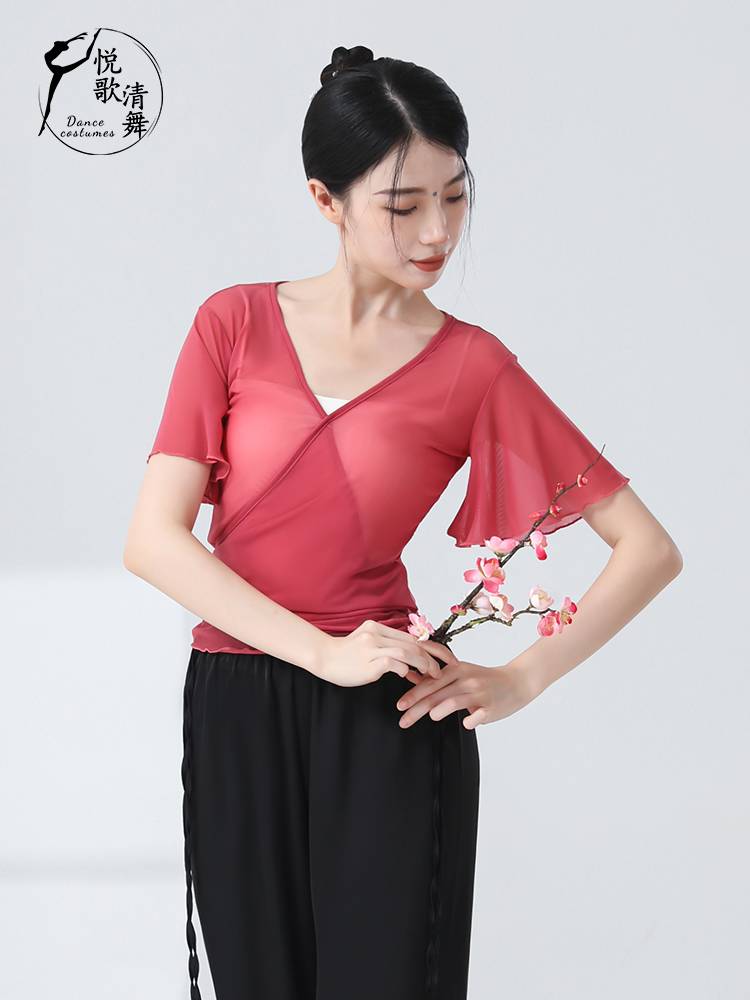 Classical Dance Yaji Xun clothes, rhyme clothing, girl elegant new dance, life exercises, nets, Chinese dance top