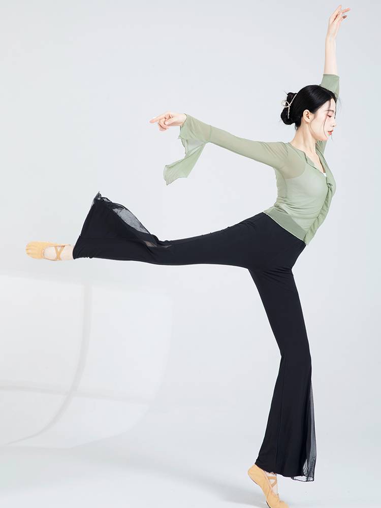 Modern dance exercises female long sleeve dance top micro -tail pants medium long classical dancing net gauze clothes