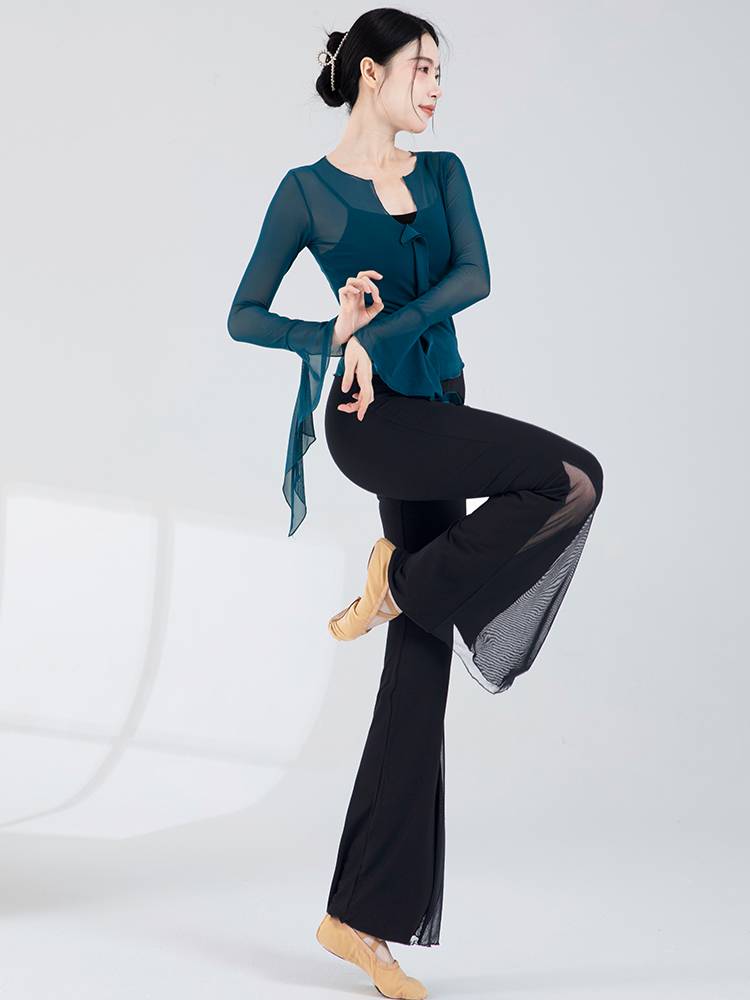 Modern dance exercises female long sleeve dance top micro -tail pants medium long classical dancing net gauze clothes